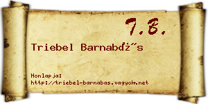 Triebel Barnabás névjegykártya