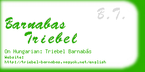barnabas triebel business card
