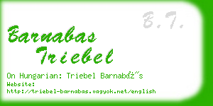 barnabas triebel business card